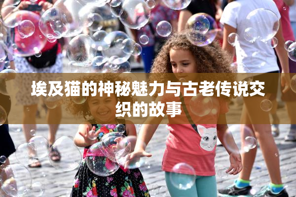 埃及猫的神秘魅力与古老传说交织的故事