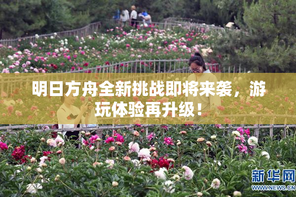 明日方舟全新挑战即将来袭，游玩体验再升级！