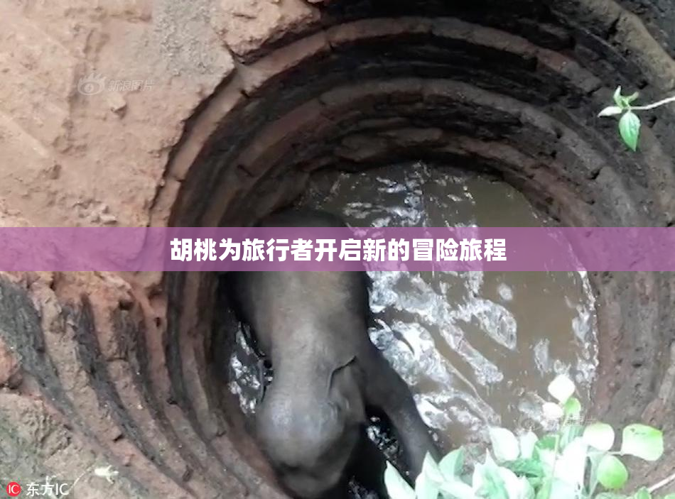 胡桃为旅行者开启新的冒险旅程
