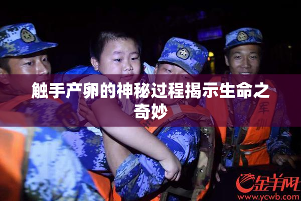 触手产卵的神秘过程揭示生命之奇妙