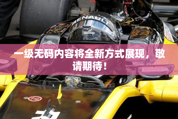 一级无码内容将全新方式展现，敬请期待！