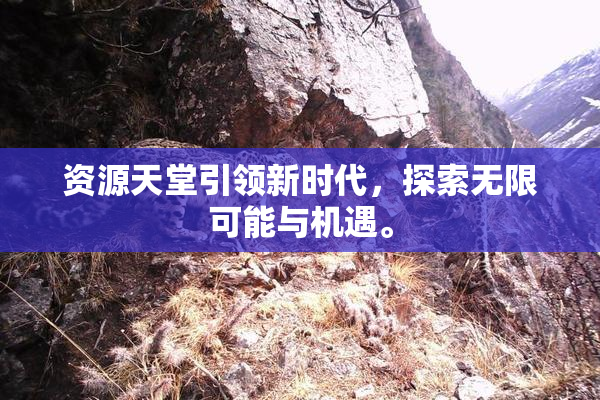 资源天堂引领新时代，探索无限可能与机遇。