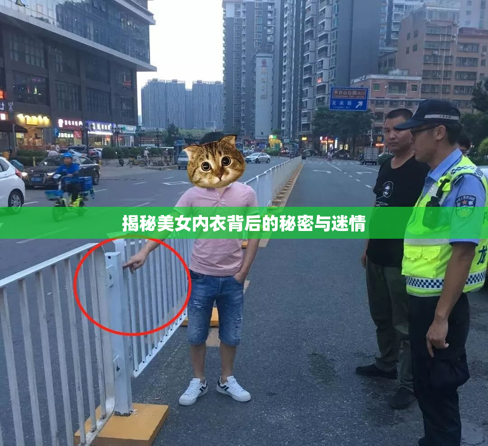 揭秘美女内衣背后的秘密与迷情