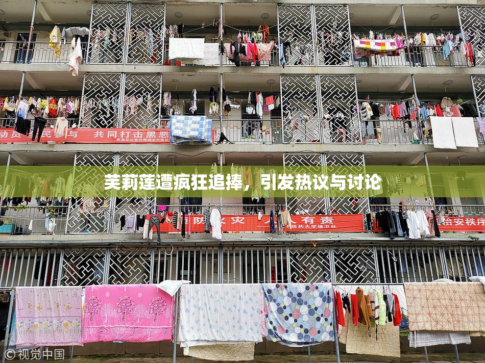 芙莉莲遭疯狂追捧，引发热议与讨论