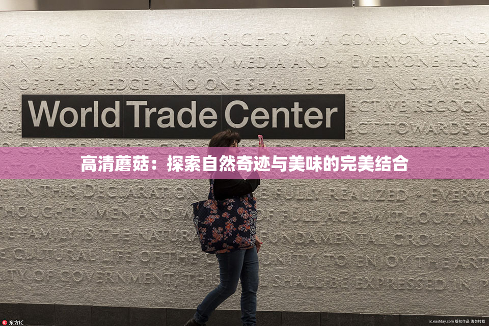 高清蘑菇：探索自然奇迹与美味的完美结合