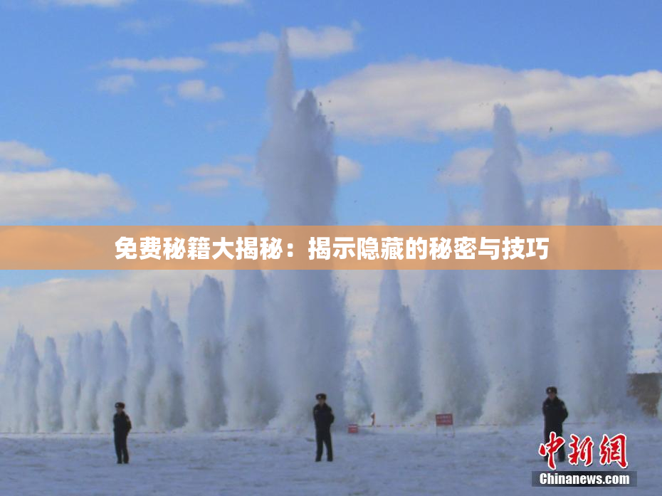 免费秘籍大揭秘：揭示隐藏的秘密与技巧
