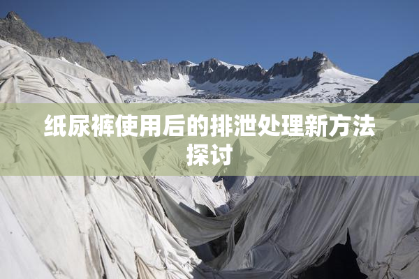 纸尿裤使用后的排泄处理新方法探讨