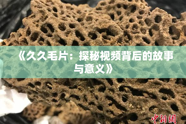 《久久毛片：探秘视频背后的故事与意义》