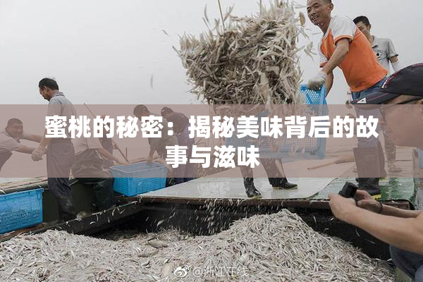蜜桃的秘密：揭秘美味背后的故事与滋味
