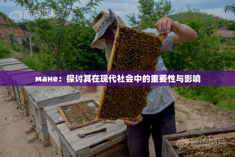 мане：探讨其在现代社会中的重要性与影响