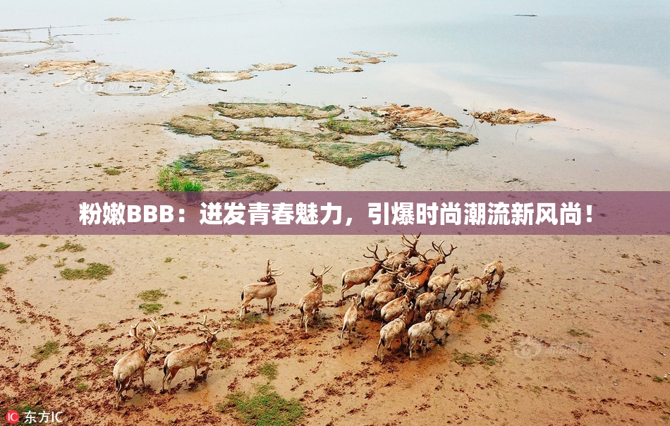 粉嫩BBB：迸发青春魅力，引爆时尚潮流新风尚！