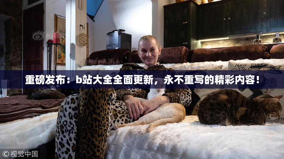 重磅发布：b站大全全面更新，永不重写的精彩内容！