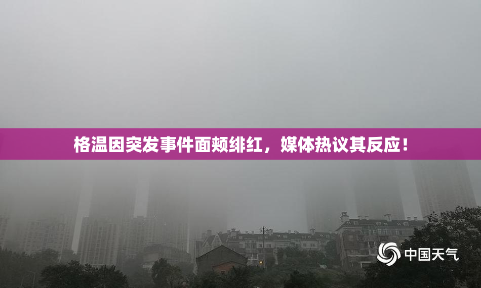 格温因突发事件面颊绯红，媒体热议其反应！
