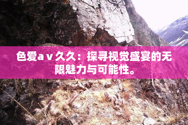 色爱aⅴ久久：探寻视觉盛宴的无限魅力与可能性。
