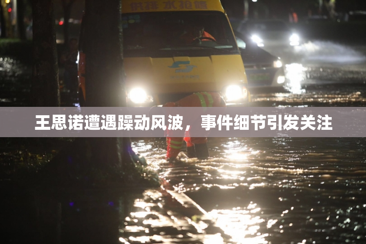 王思诺遭遇躁动风波，事件细节引发关注