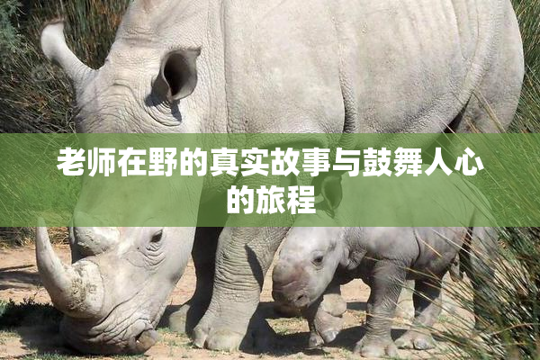 老师在野的真实故事与鼓舞人心的旅程