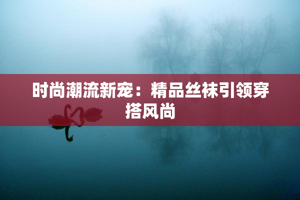 时尚潮流新宠：精品丝袜引领穿搭风尚