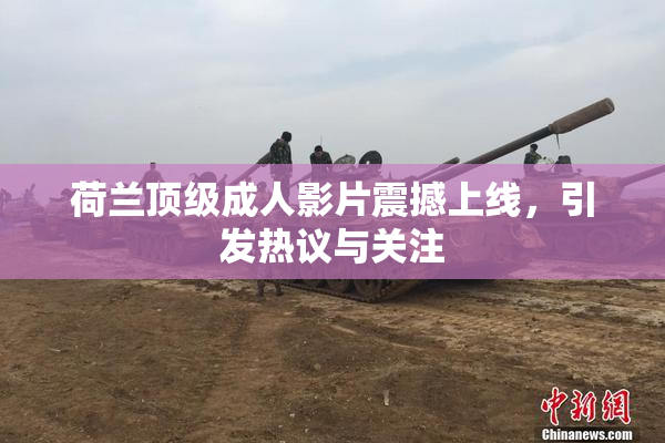 荷兰顶级成人影片震撼上线，引发热议与关注
