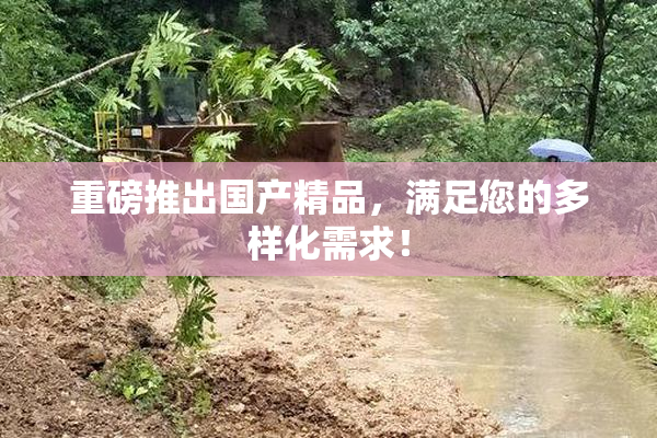 重磅推出国产精品，满足您的多样化需求！