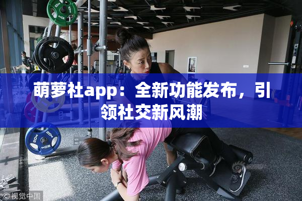 萌萝社app：全新功能发布，引领社交新风潮