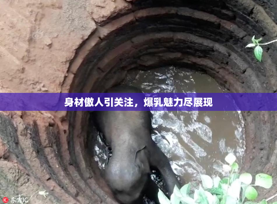 身材傲人引关注，爆乳魅力尽展现
