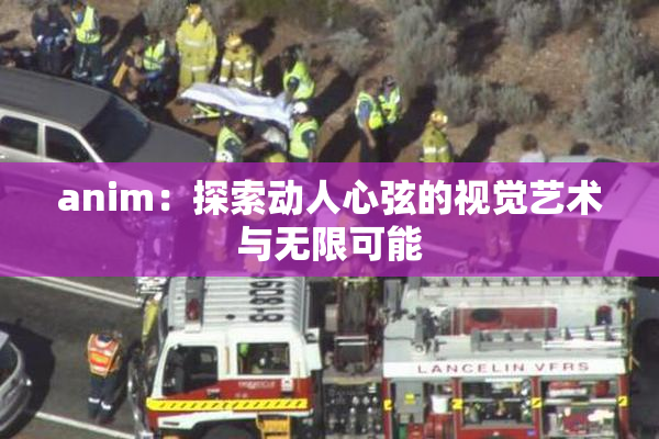 anim：探索动人心弦的视觉艺术与无限可能