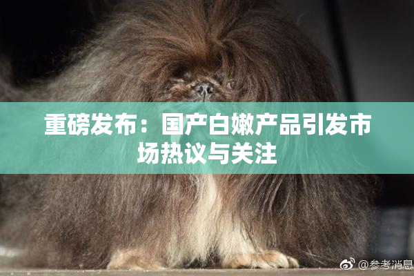 重磅发布：国产白嫩产品引发市场热议与关注