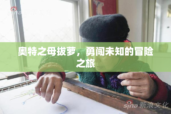 奥特之母拔萝，勇闯未知的冒险之旅