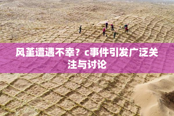 风堇遭遇不幸？c事件引发广泛关注与讨论