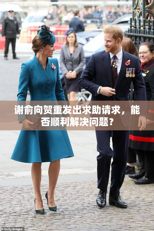 谢俞向贺重发出求助请求，能否顺利解决问题？