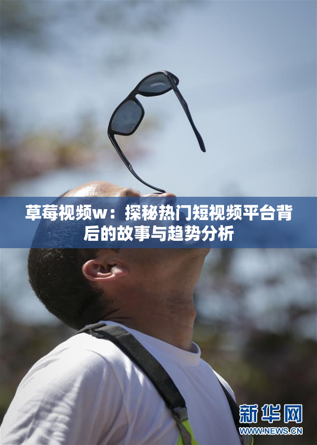 草莓视频w：探秘热门短视频平台背后的故事与趋势分析