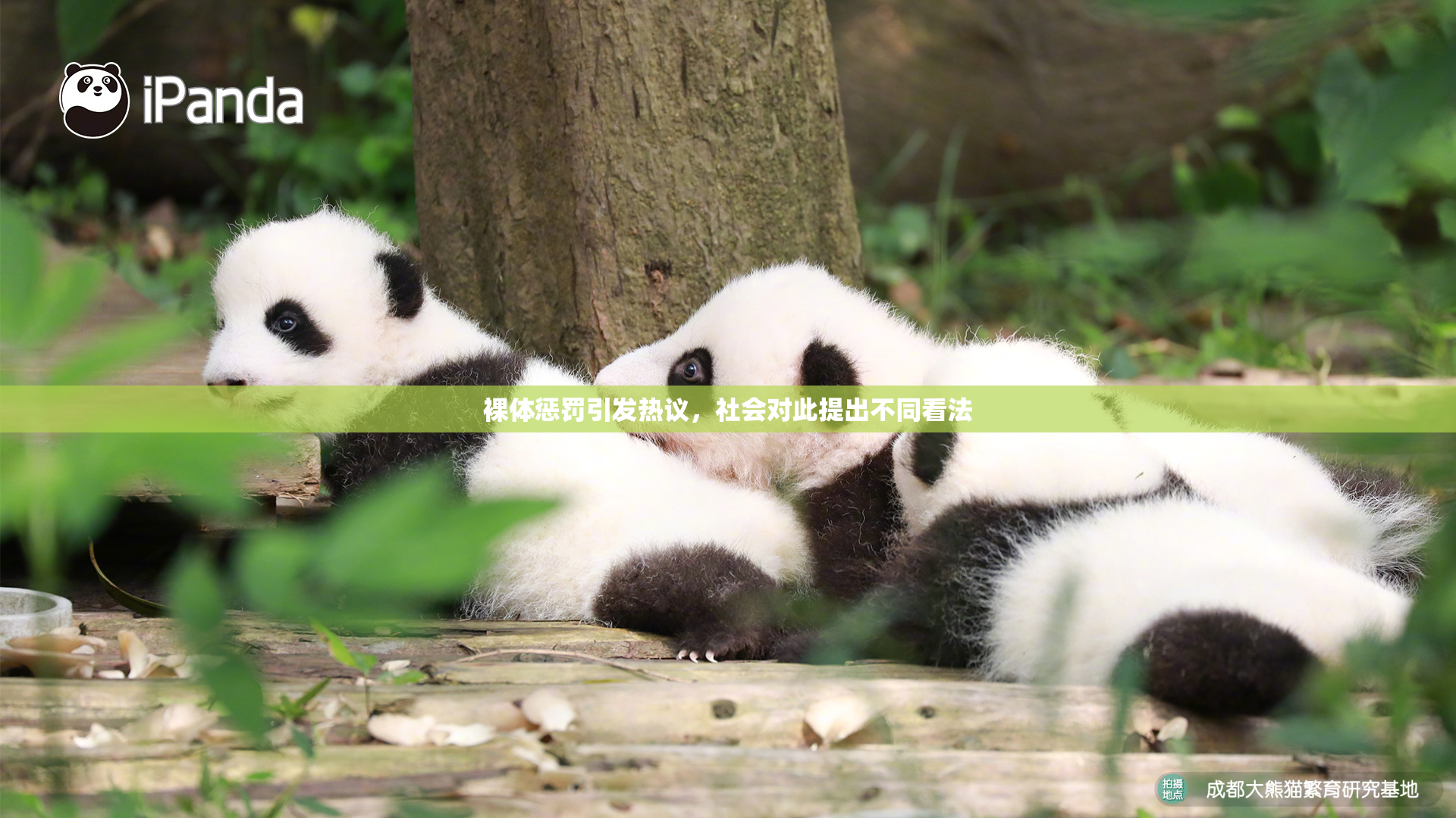 裸体惩罚引发热议，社会对此提出不同看法
