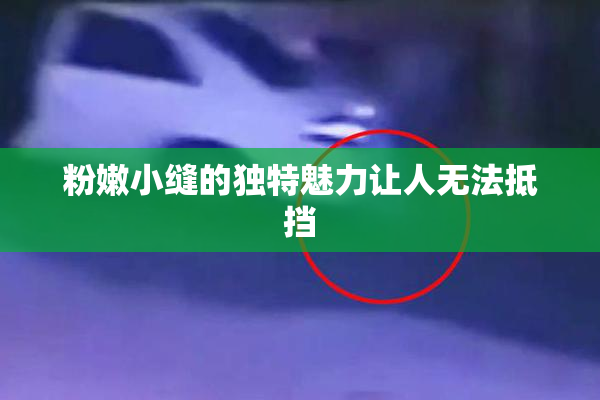 粉嫩小缝的独特魅力让人无法抵挡