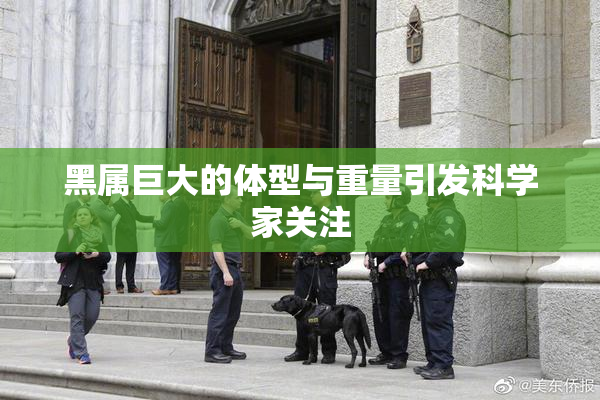 黑属巨大的体型与重量引发科学家关注