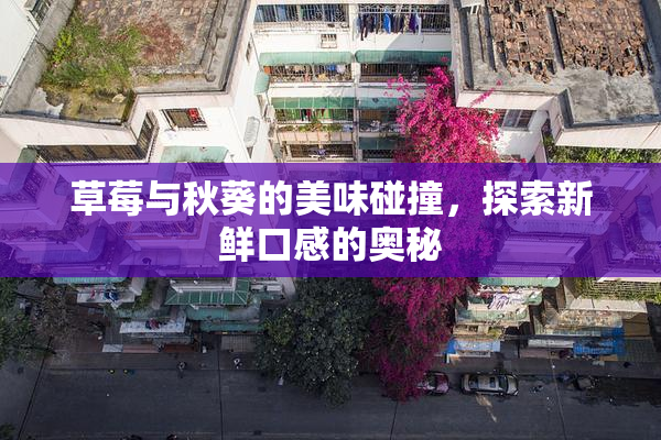 草莓与秋葵的美味碰撞，探索新鲜口感的奥秘