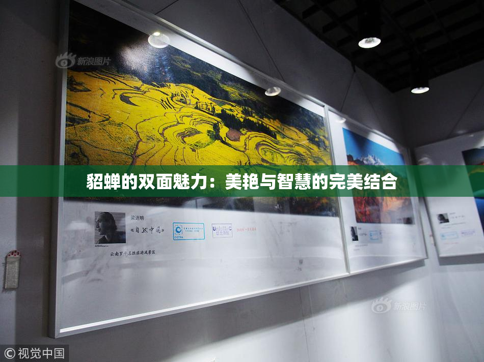 貂蝉的双面魅力：美艳与智慧的完美结合