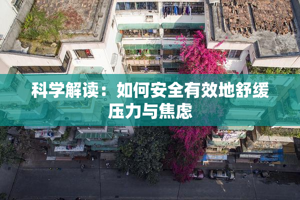 科学解读：如何安全有效地舒缓压力与焦虑
