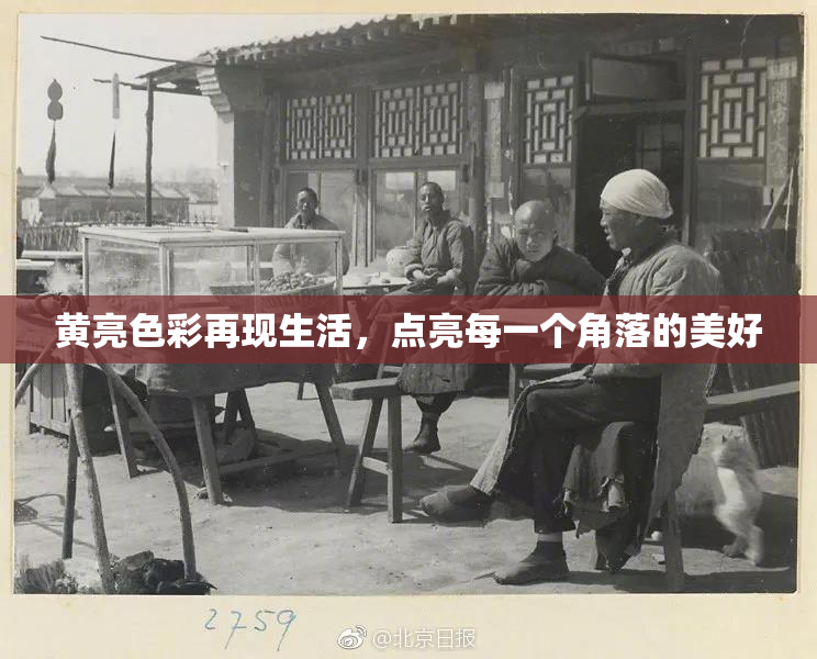 黄亮色彩再现生活，点亮每一个角落的美好