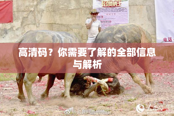 高清码？你需要了解的全部信息与解析