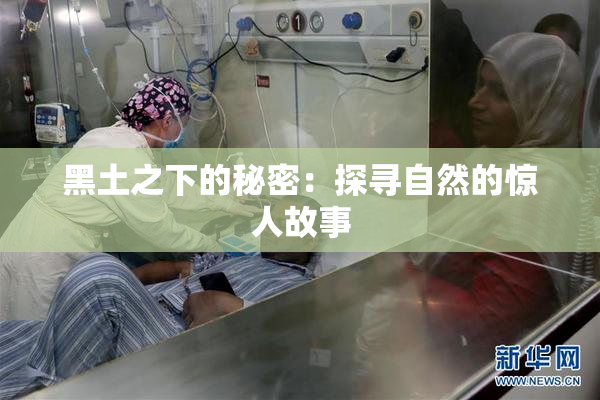 黑土之下的秘密：探寻自然的惊人故事