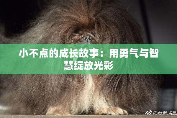 小不点的成长故事：用勇气与智慧绽放光彩
