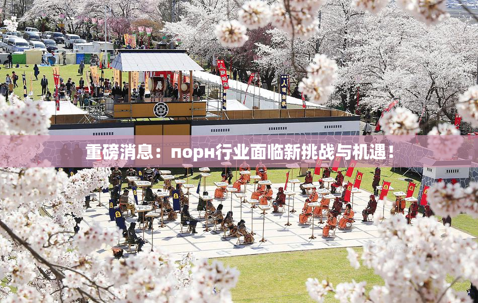 重磅消息：порн行业面临新挑战与机遇！