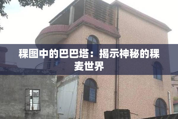 稞图中的巴巴塔：揭示神秘的稞麦世界