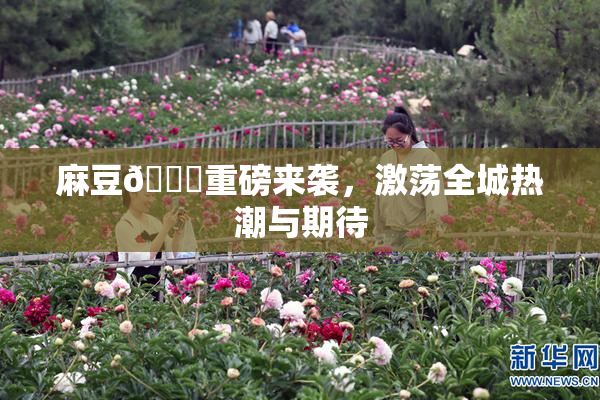 麻豆🔞重磅来袭，激荡全城热潮与期待