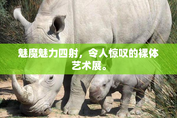 魅魔魅力四射，令人惊叹的裸体艺术展。