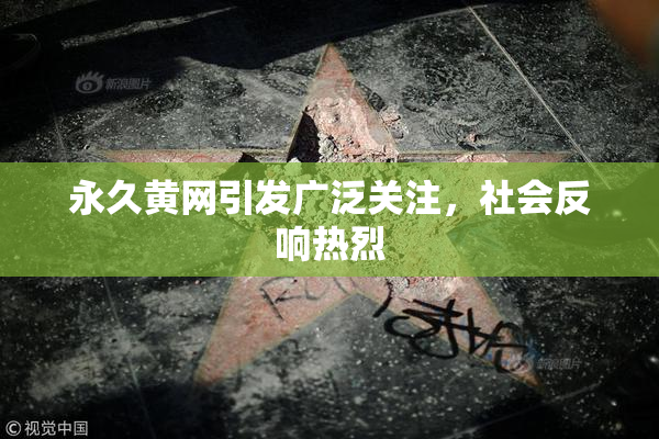 永久黄网引发广泛关注，社会反响热烈