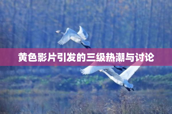 黄色影片引发的三级热潮与讨论