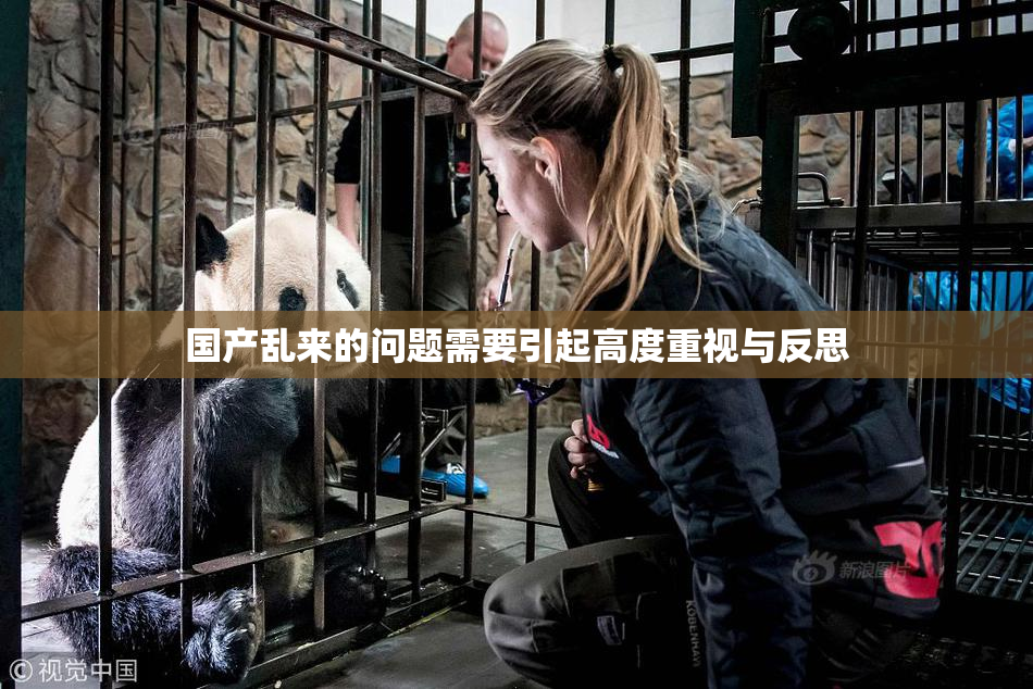 国产乱来的问题需要引起高度重视与反思
