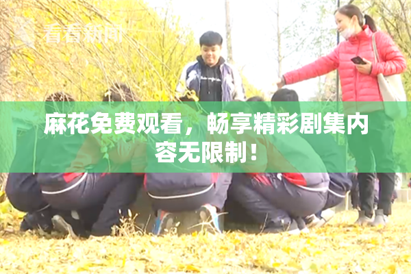 麻花免费观看，畅享精彩剧集内容无限制！