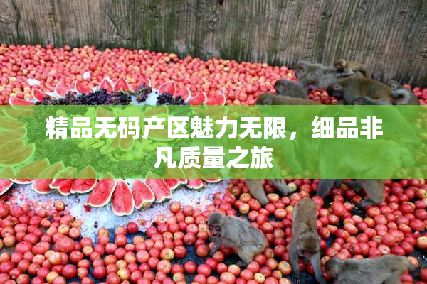 精品无码产区魅力无限，细品非凡质量之旅